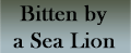 bitten-by-sea-lion